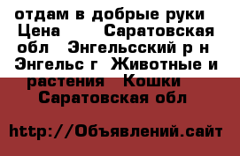 отдам в добрые руки › Цена ­ 0 - Саратовская обл., Энгельсский р-н, Энгельс г. Животные и растения » Кошки   . Саратовская обл.